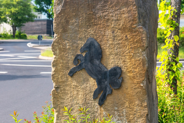 blackhorse-museum-box